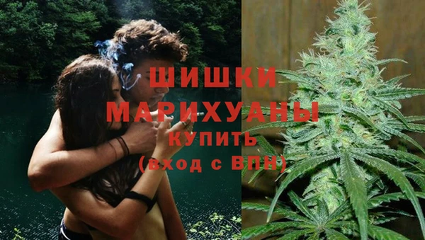 спиды Волосово