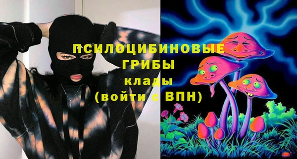 спиды Волосово