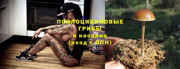 спиды Волосово