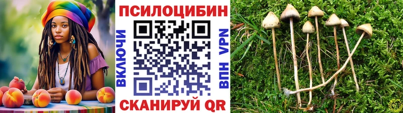 Купить  Ардон  Псилоцибиновые грибы GOLDEN TEACHER 